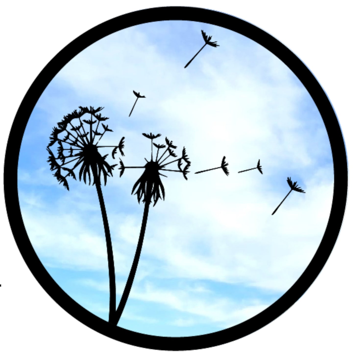 SunCatcher Garden Mirror Round Dandelions Range of Sizes