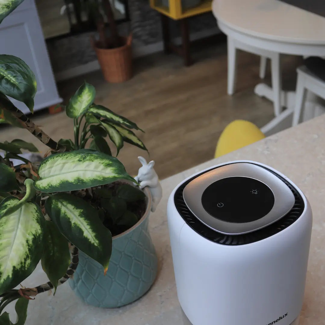 1100ml Quiet Dehumidifier