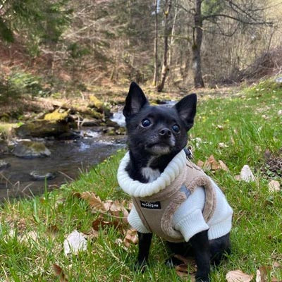 Tiny Trails Step In Soft Touch Suede Effect Faux Fur Lined Puppy and Small Dog Harness Caramel