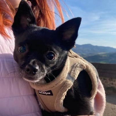 Tiny Trails Step In Soft Touch Suede Effect Faux Fur Lined Puppy and Small Dog Harness Caramel