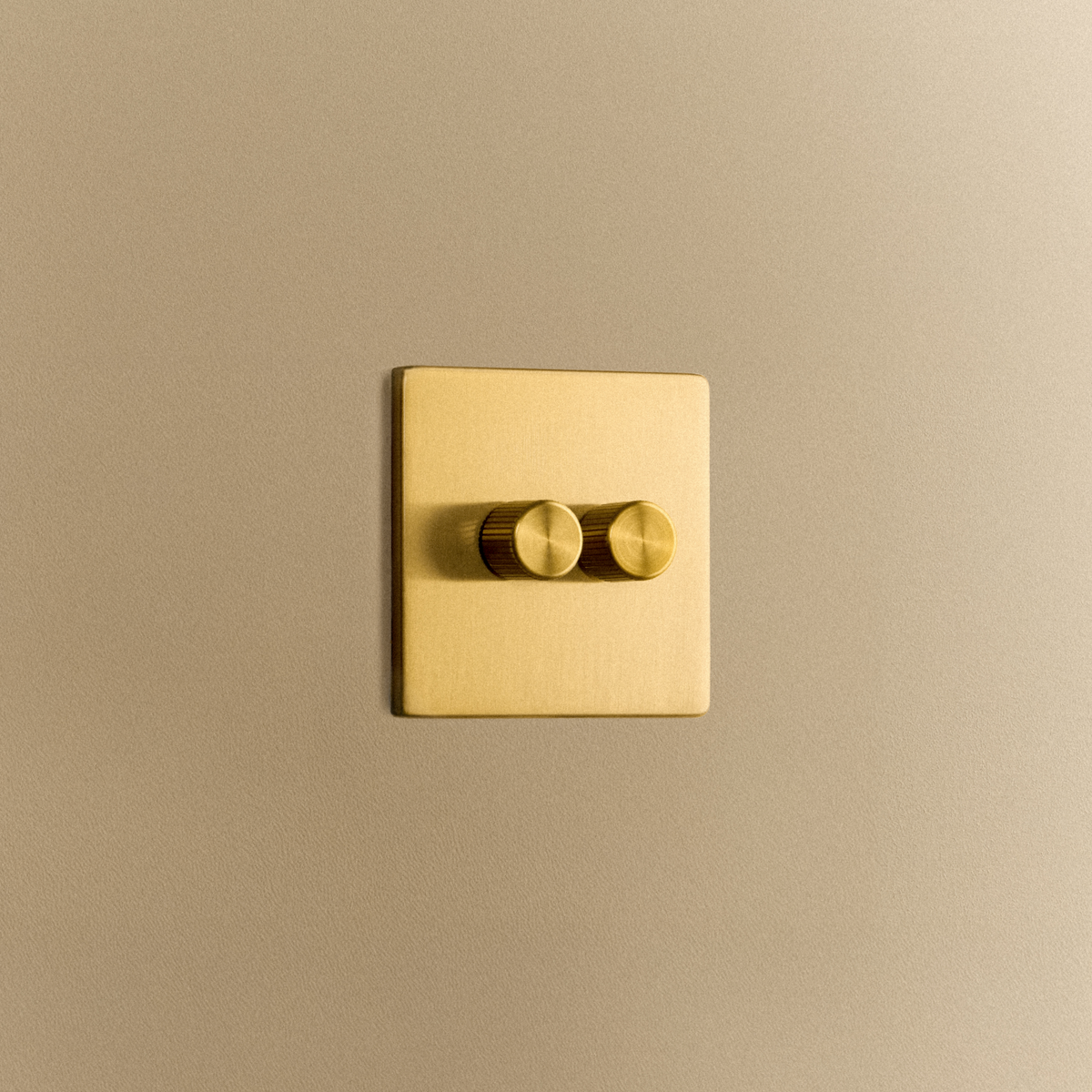 Double Rotary Wall Dimmer in Brass