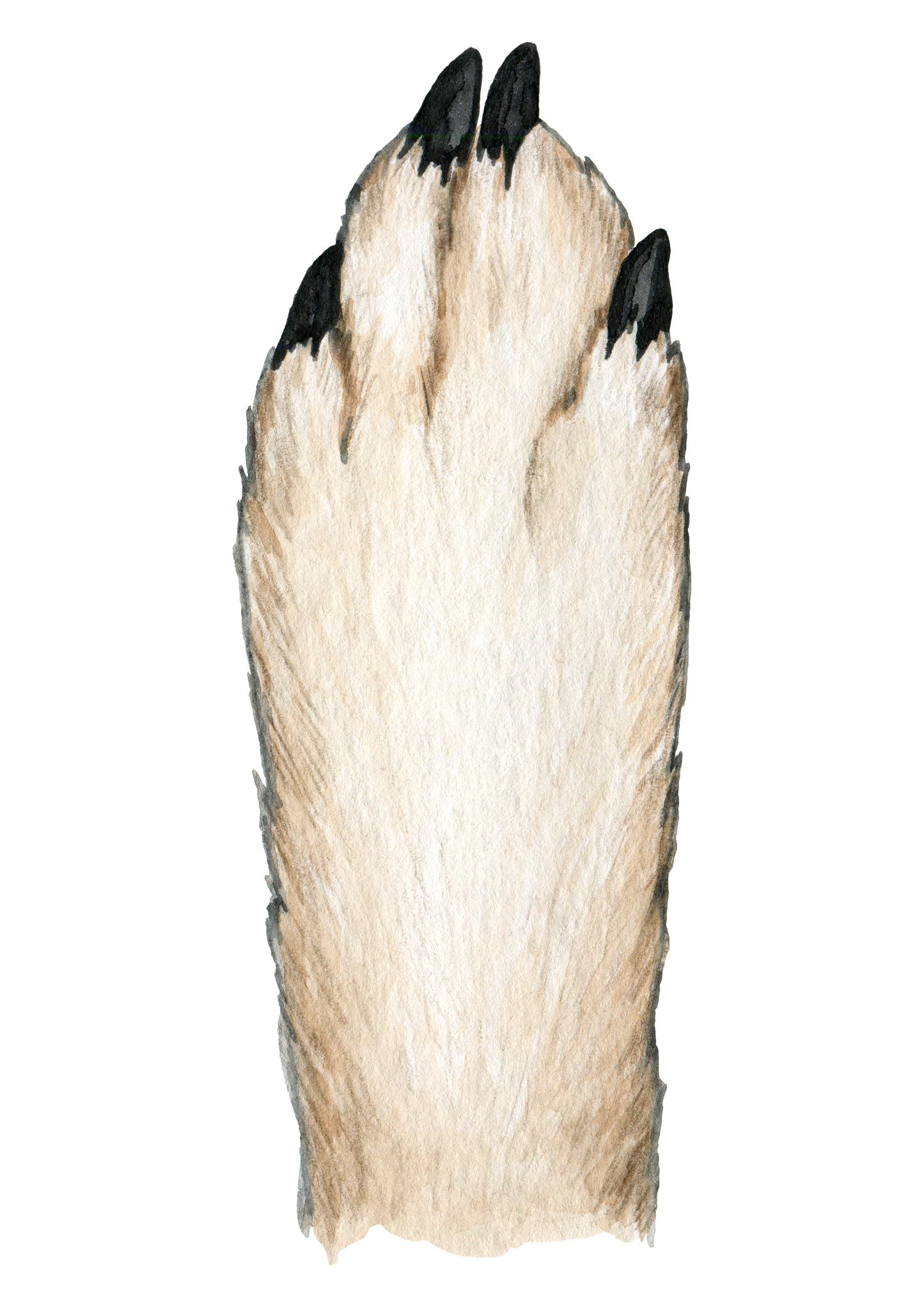 Personalised Family Heart Handprint A4 print