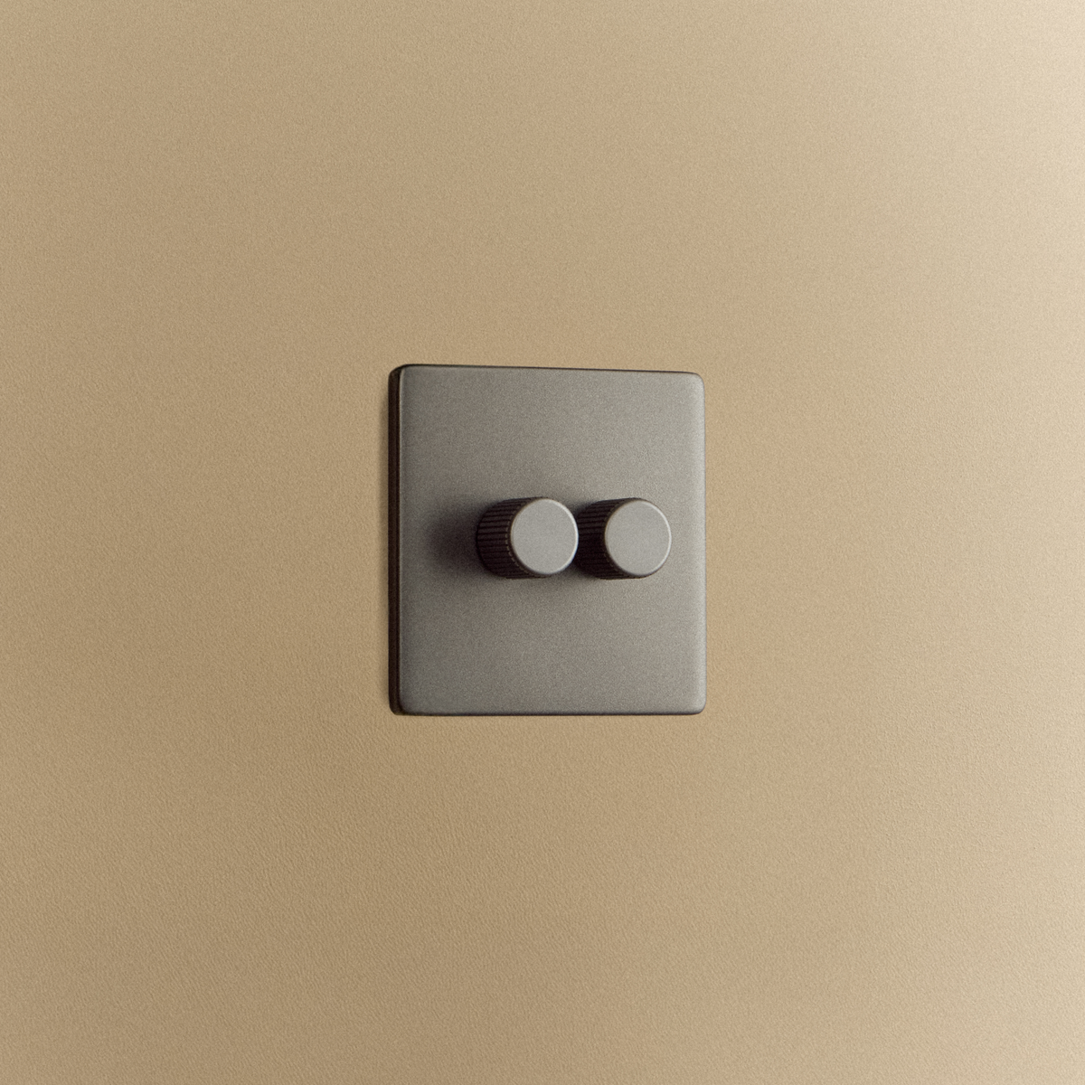 Double Rotary Wall Dimmer in Graphite