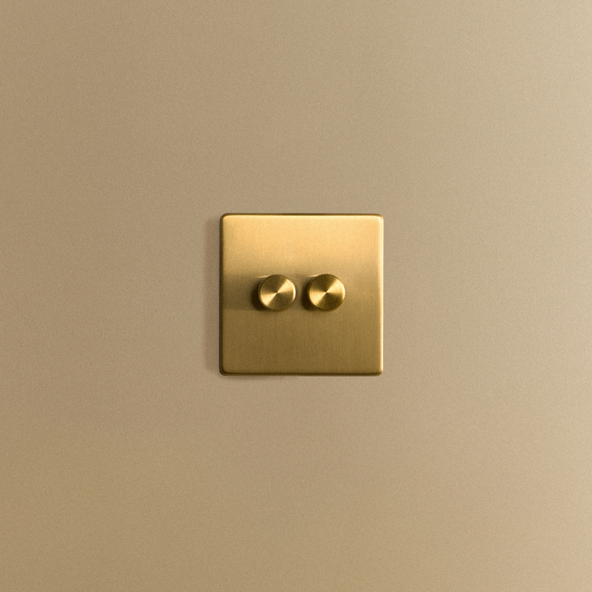 Double Rotary Wall Dimmer in Brass