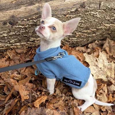 Tiny Toastie Water Repellent Fleece Dog Coat by My Chi and Me Dusky Blue