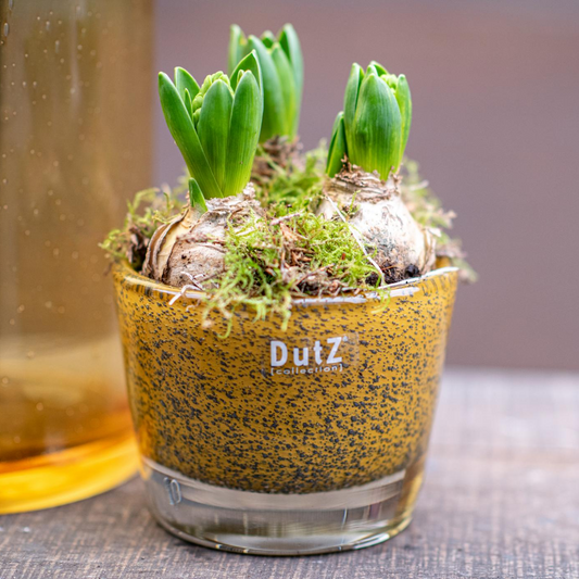 CONIC Vase - Thick Glass with Bubbles by DutZ