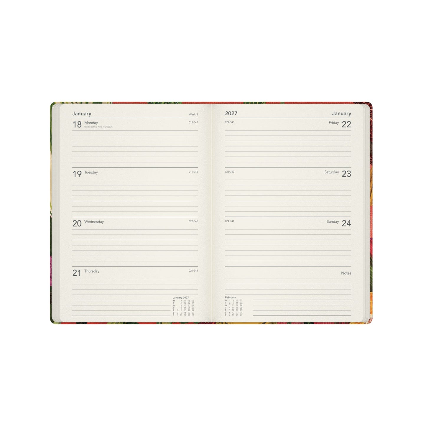 2026-2027 Mid Year Planner - 13 Month A5 Week-to-View - Diary Bird -  Collins Debden Modern Organics Range
