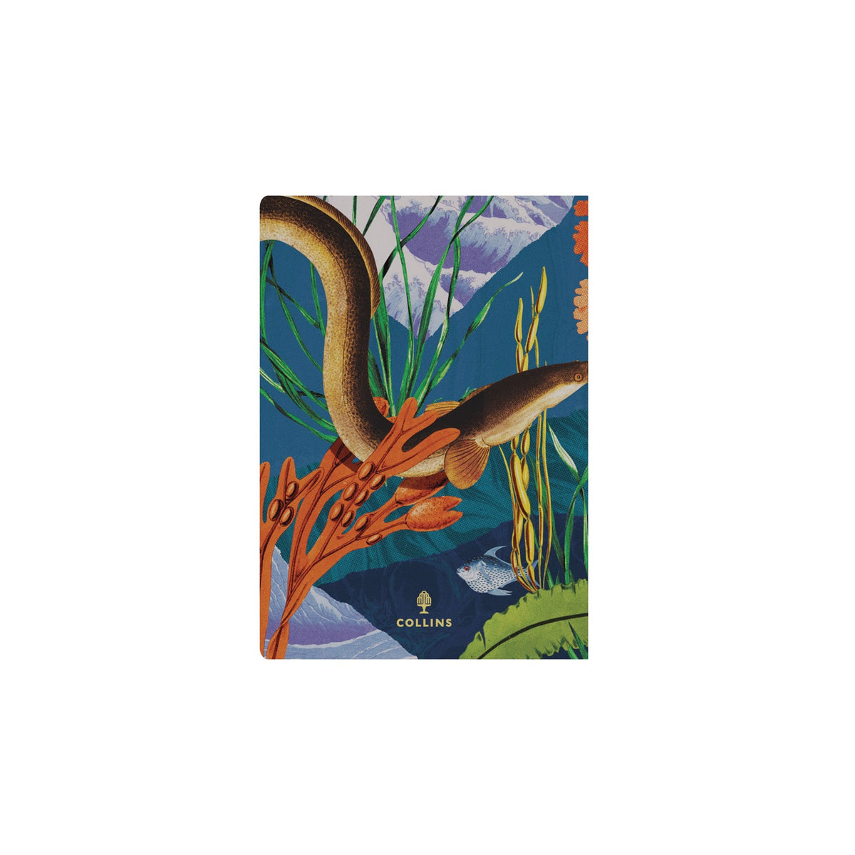 2026-2027 Mid Year Planner - 13 Month A5 Week-to-View Diary - Turtle - Collins Debden Modern Organics Range