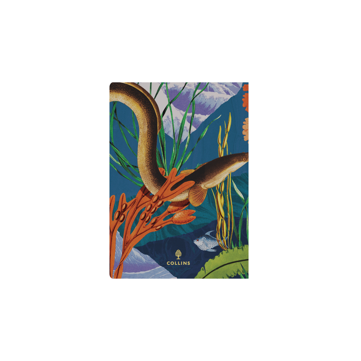 Modern Organic A5 Ruled Notebook