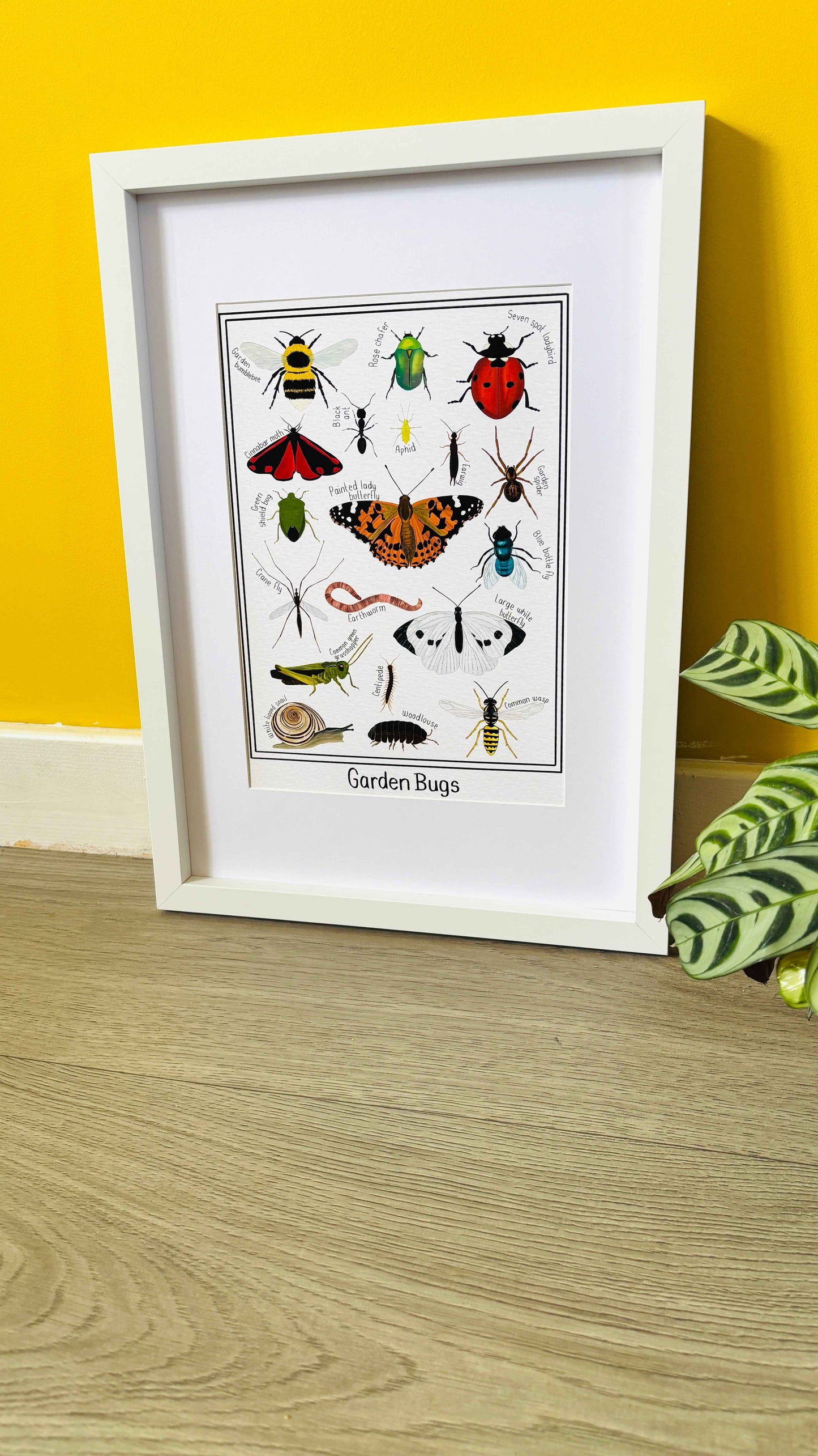 Garden Bug Wall Art Print: Nature Inspired Educational Prints
