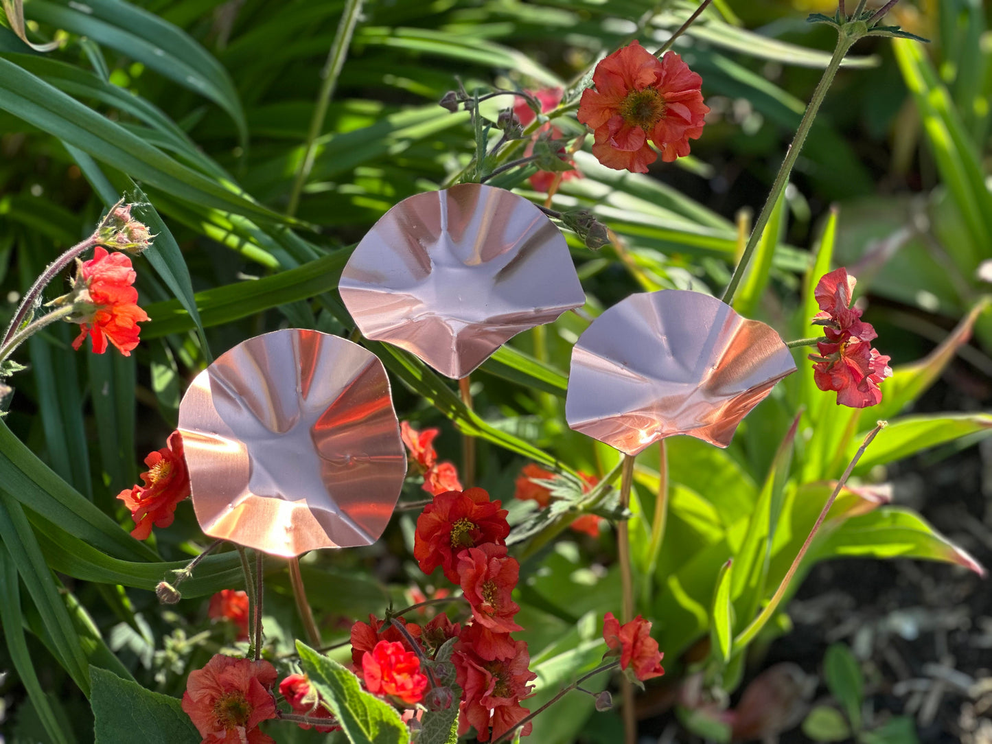 3 x Copper Bee Drinker Bundle