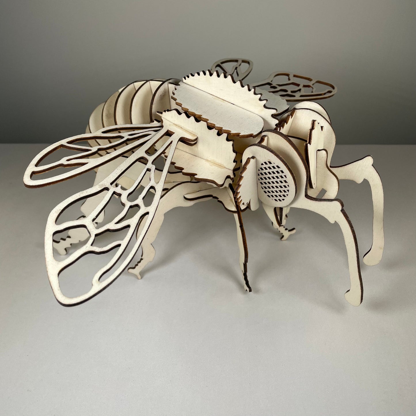 Bee Puzzle - Flatpack Model Kit by Curious Rabbit ®