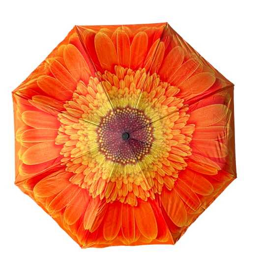 Everyday Inside Out Orange Daisy Stick