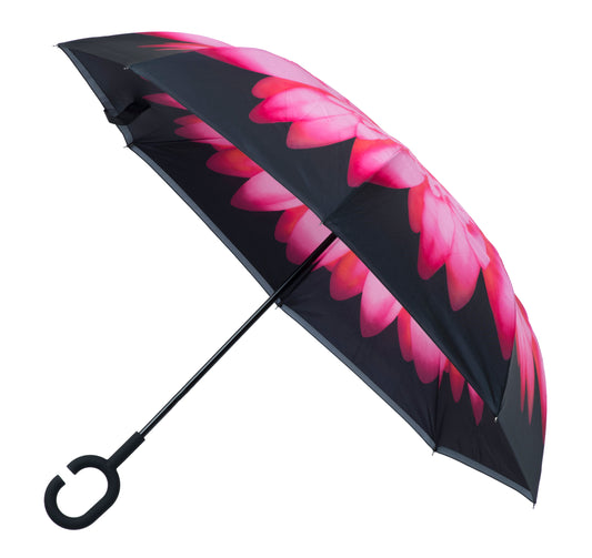 Everyday Inside Out Pink Daisy Stick