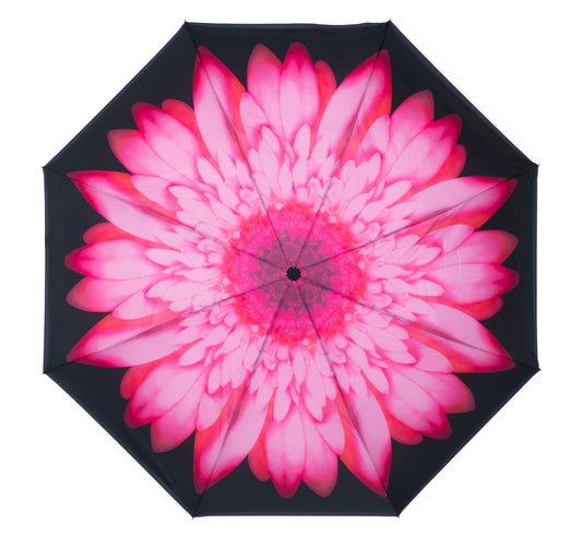 Everyday Inside Out Pink Daisy Stick