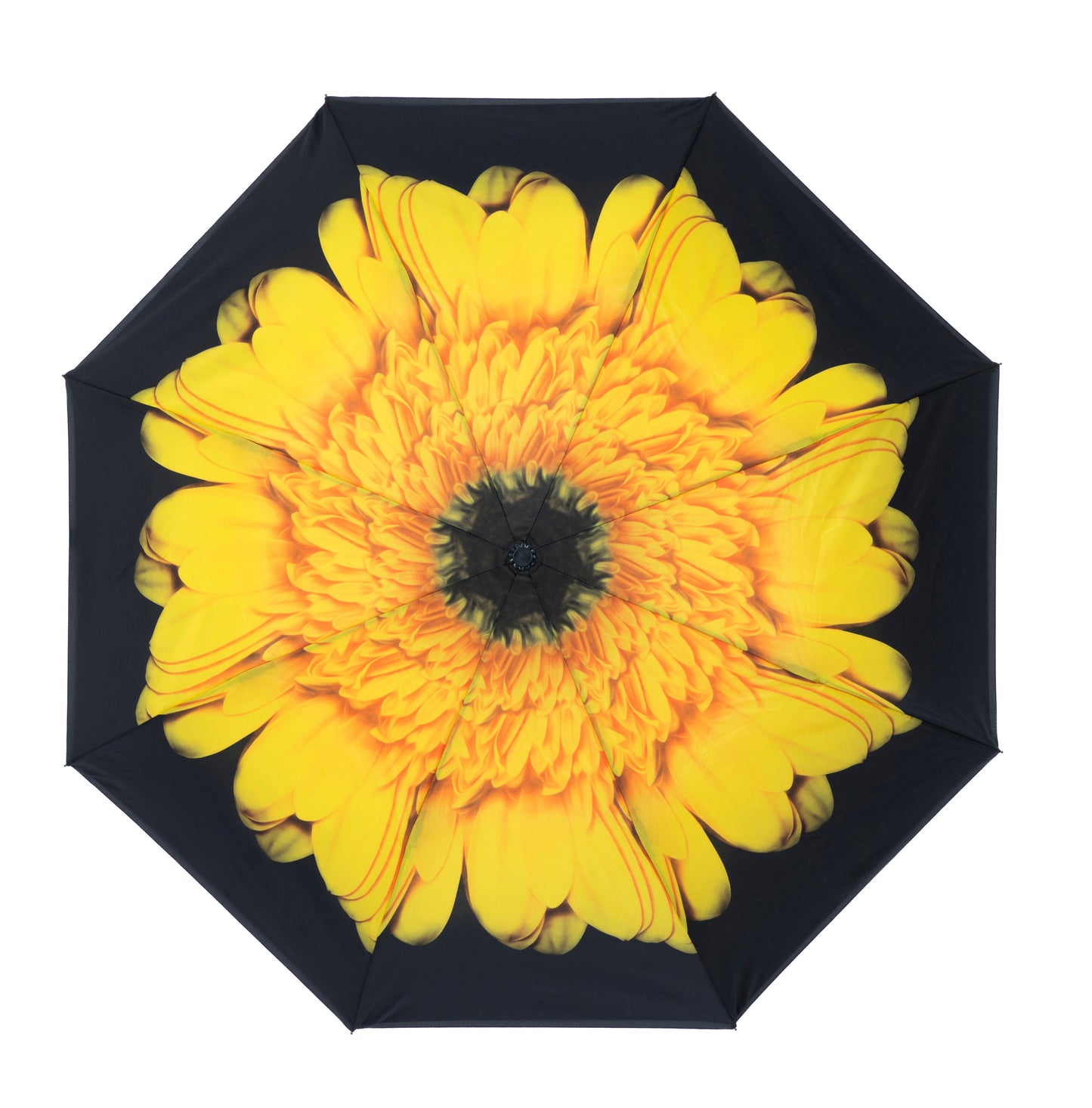 Everyday Inside Out Sunflower Stick