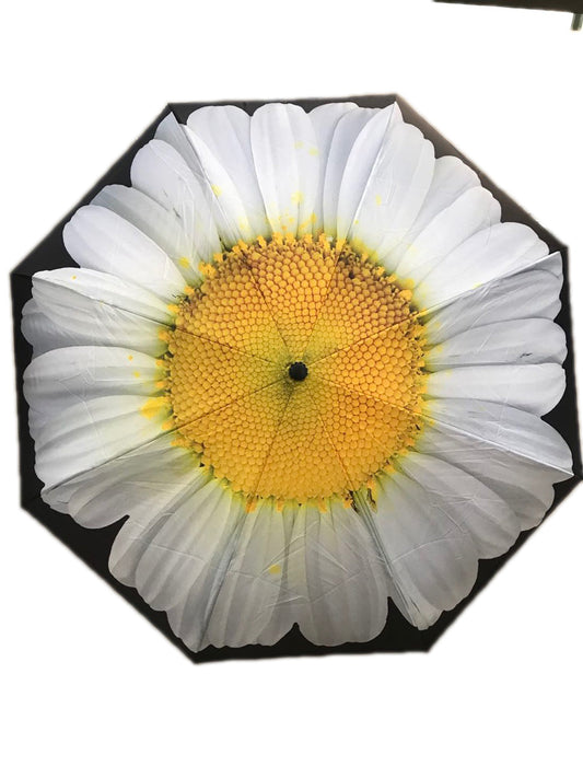 Everyday Inside Out Umbrella White Daisy Stick