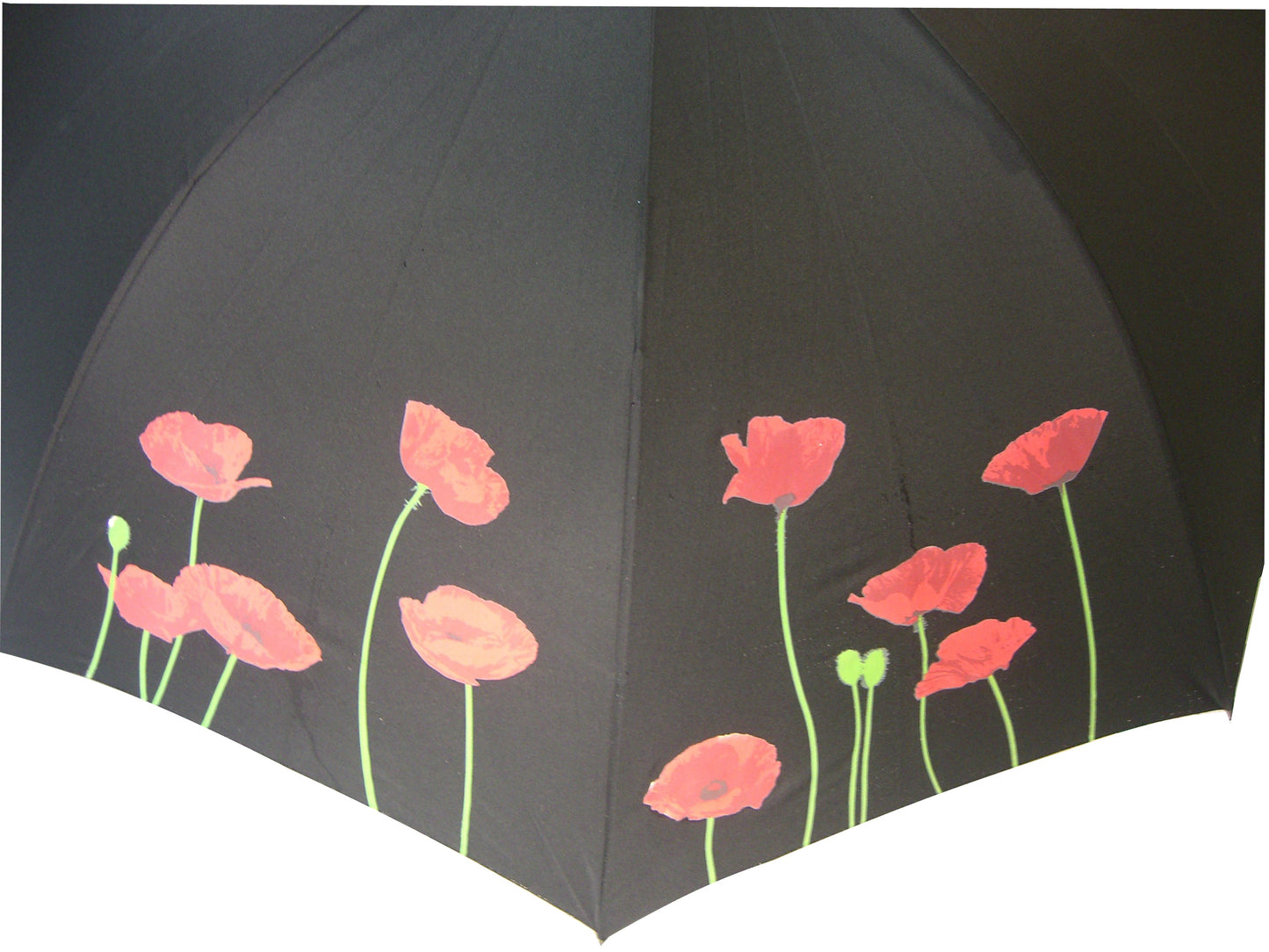 Everyday Poppy Colour Change Folding umbrella