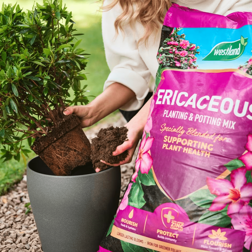 Ericaceous Planting & Potting Mix 50ltr Bulk Buy