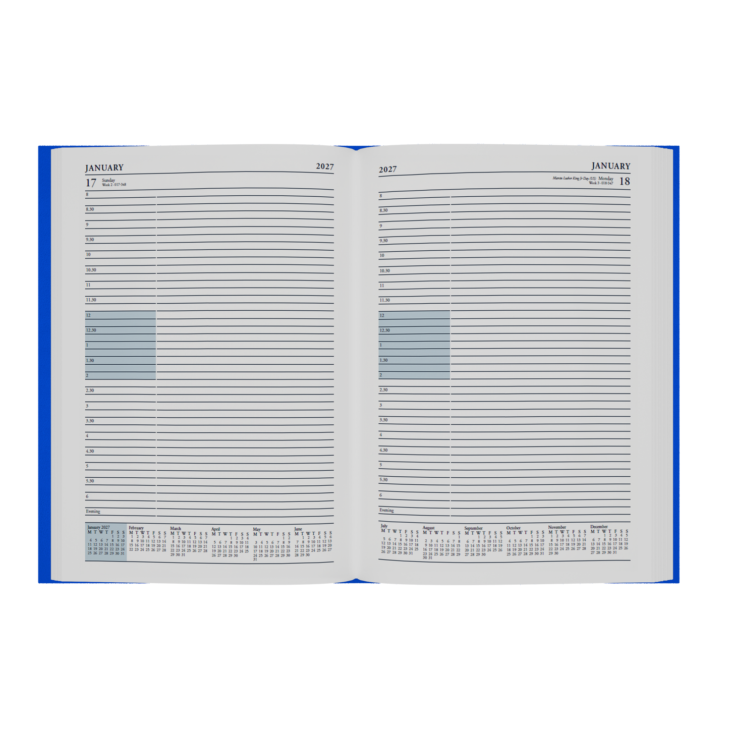 2026-2027 - Mid/Academic Year Planner with Appointments - 13 Month A4 Day-to-Page Diary - Collins Debden Essential Range