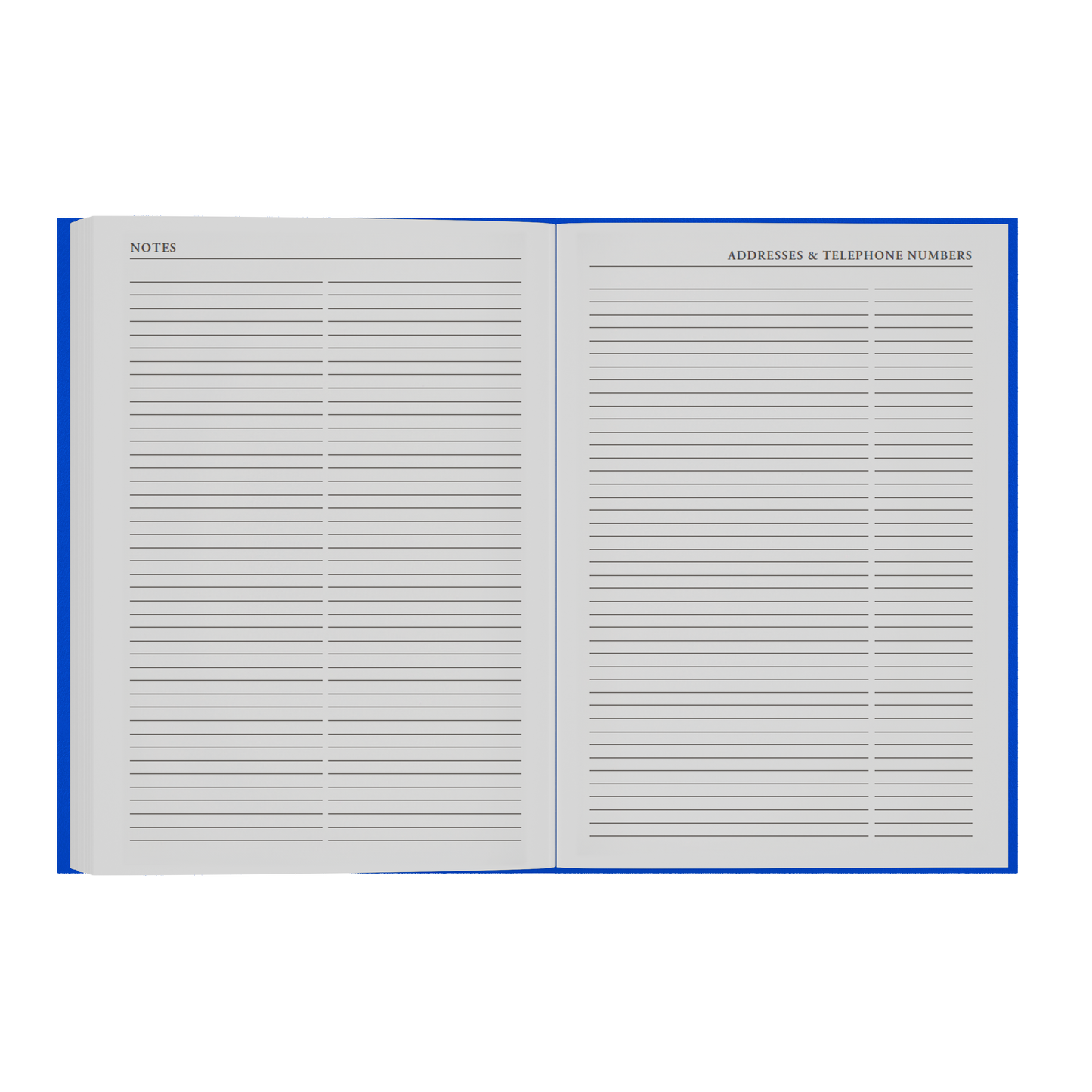2026-2027 - Mid/Academic Year Planner with Appointments - 13 Month A4 Day-to-Page Diary - Collins Debden Essential Range