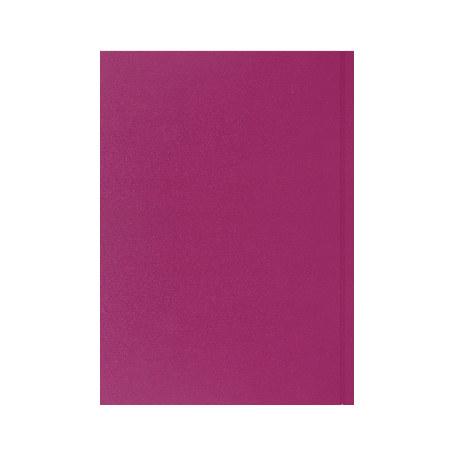 2026-2027 - Mid/Academic Year Planner with Appointments - 13 Month A4 Day-to-Page Diary - Collins Debden Essential Range