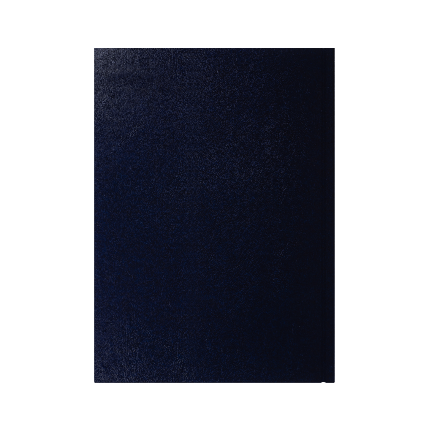2026-2027 - Mid/Academic Year Planner with Appointments - 13 Month A4 Day-to-Page Diary - Collins Debden Essential Range