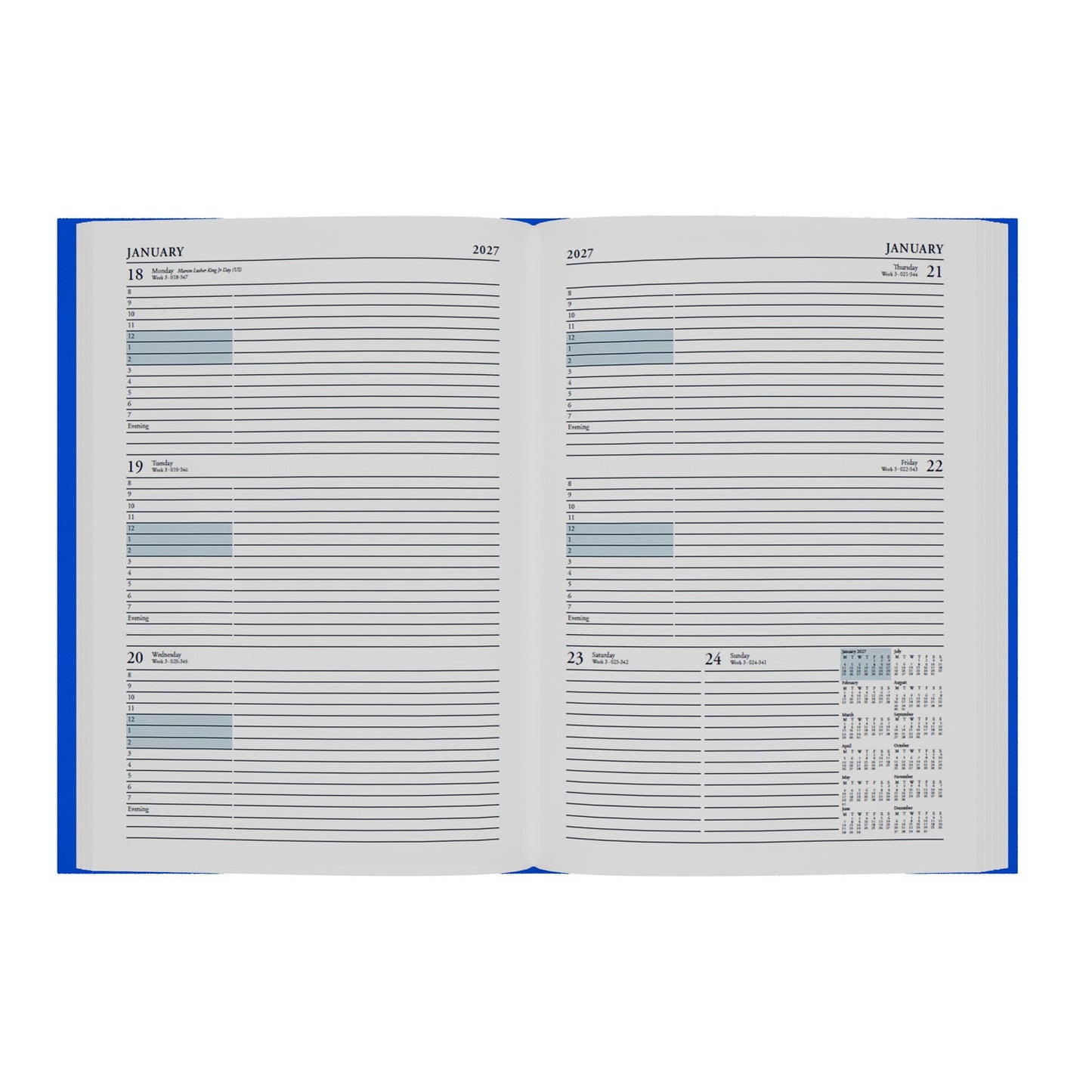 2026-2027 - Mid/Academic Year Planner with Appointments - 13 Month A4 Week-to-View Diary - Collins Debden Essential Range