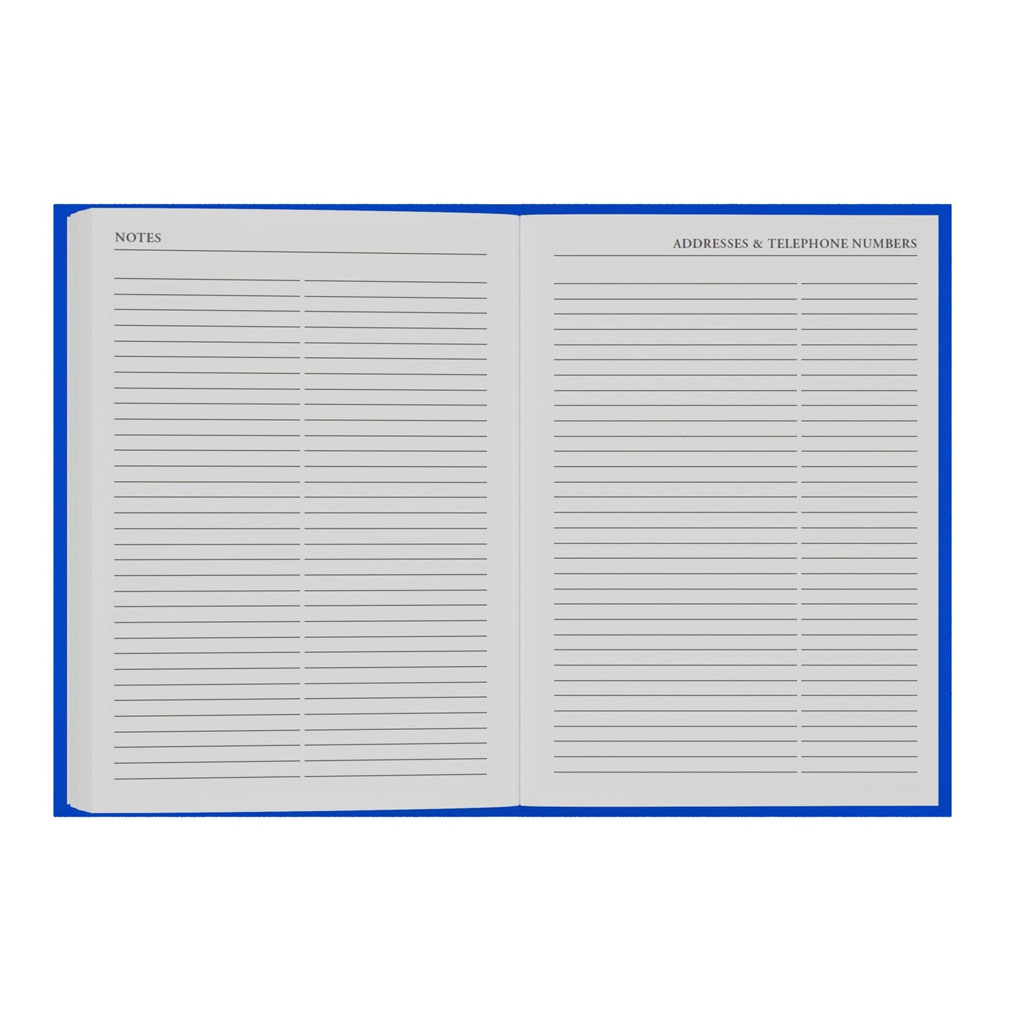 2026-2027 - Mid/Academic Year Planner with Appointments - 13 Month A5 Day-to-Page Diary - Collins Debden Essential Range