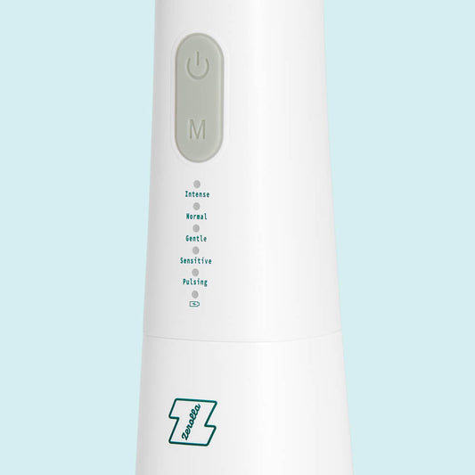 Eco Electric Water Flosser