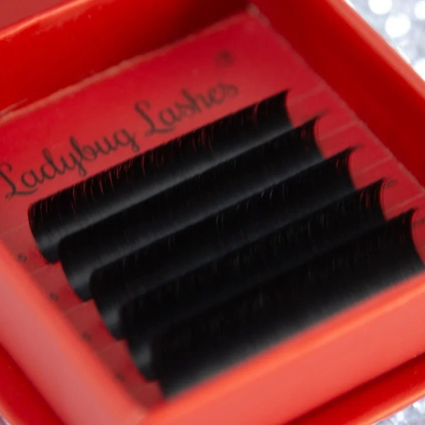 Easy Fan Lash Sample Tray – 5 Rows