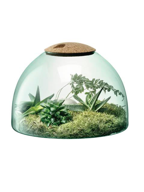 Canopy Closed Gardens  - 16.5cm