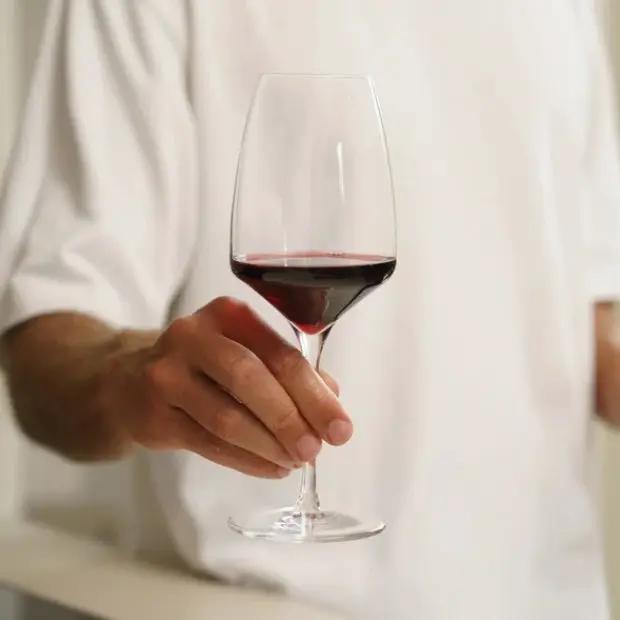 Stolzle Experience Red Wine Glasses - 450ml - Set of 6