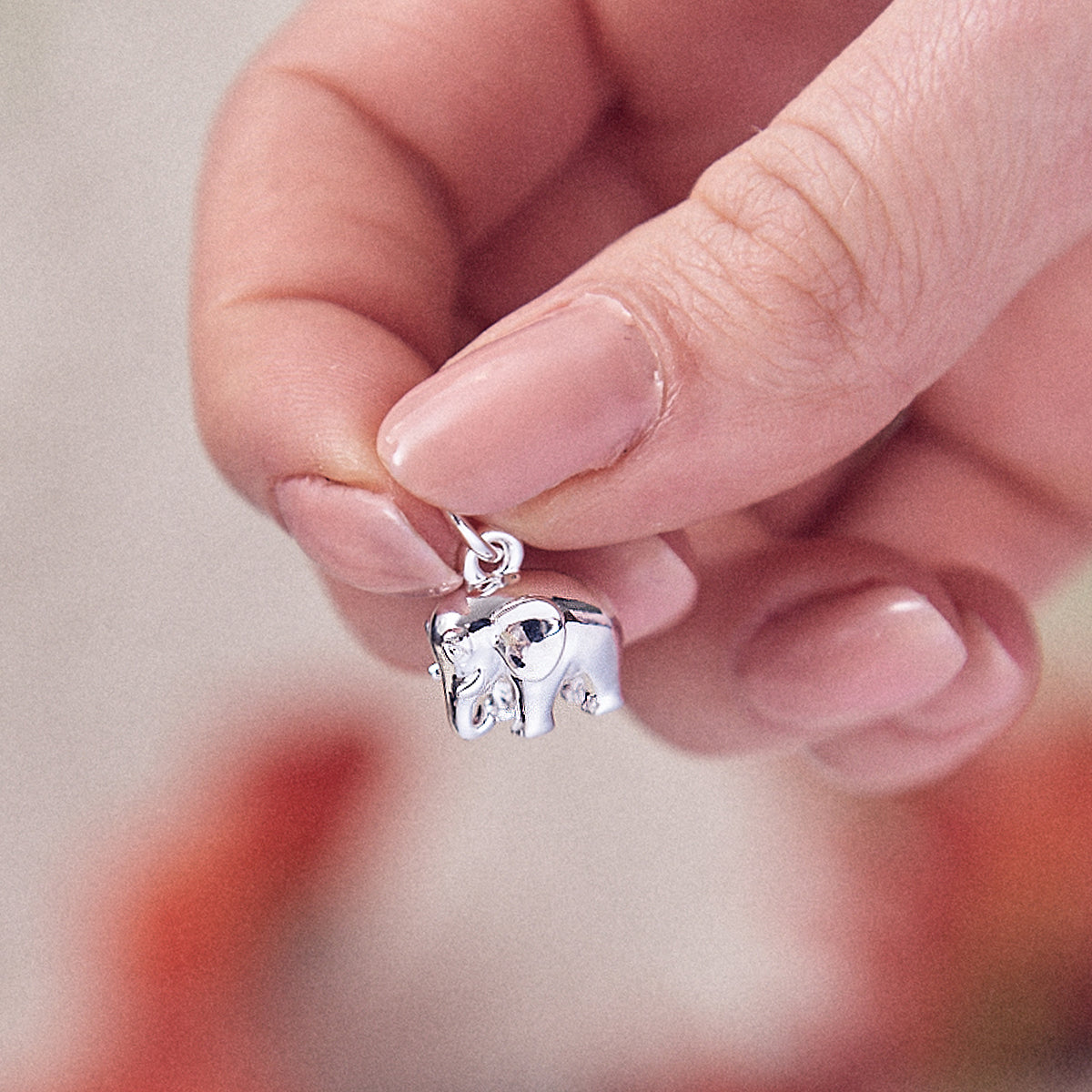Elephant Silver Charm