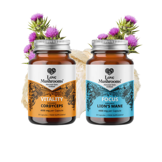 Energy & Focus Capsules 60s Bundle