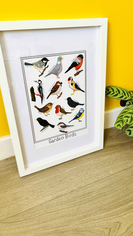 Garden British Birds Art Print-: Multiple Sizes available