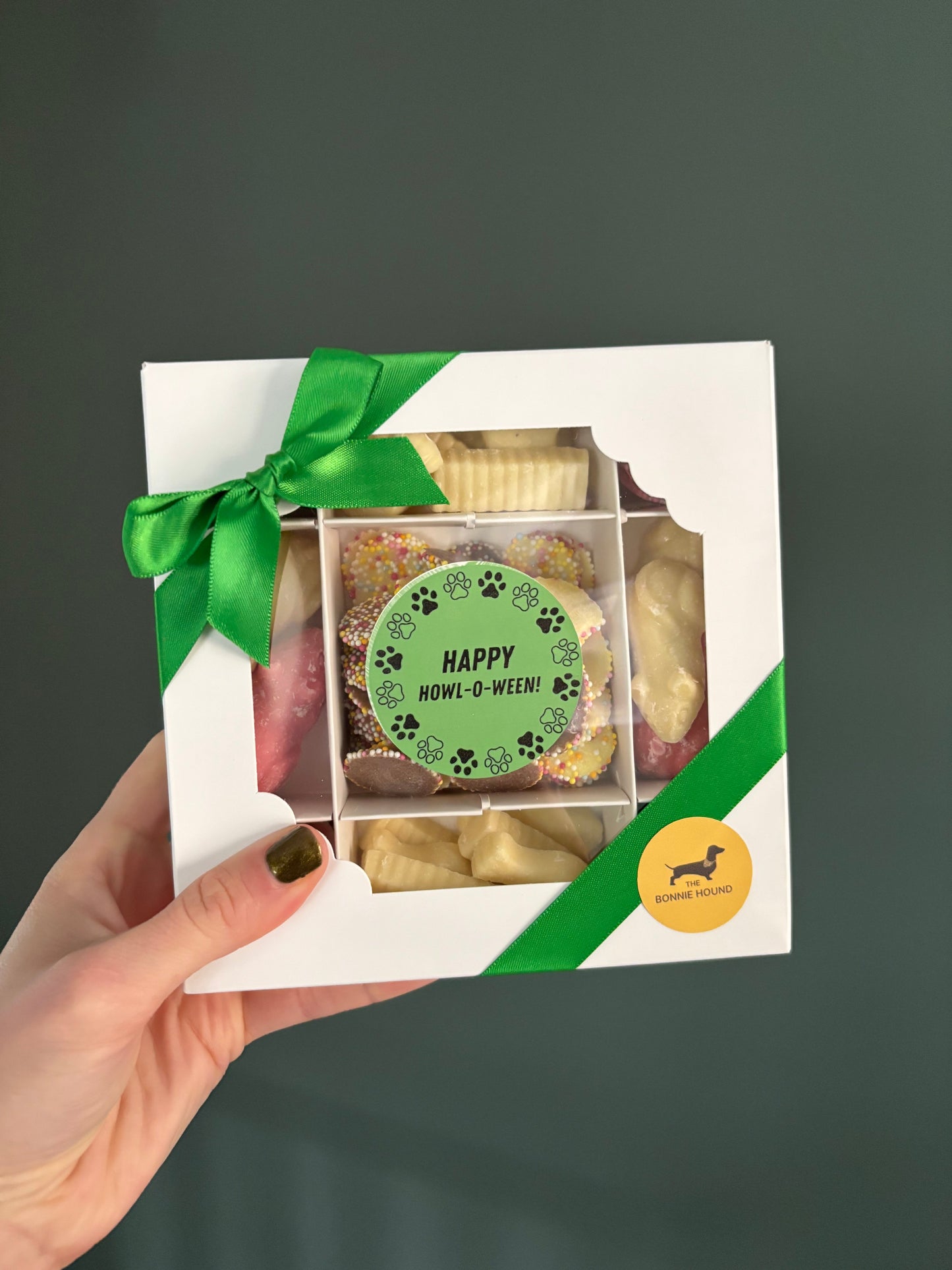 Halloween Dog Treat Box (Happy Howl-o-ween!)