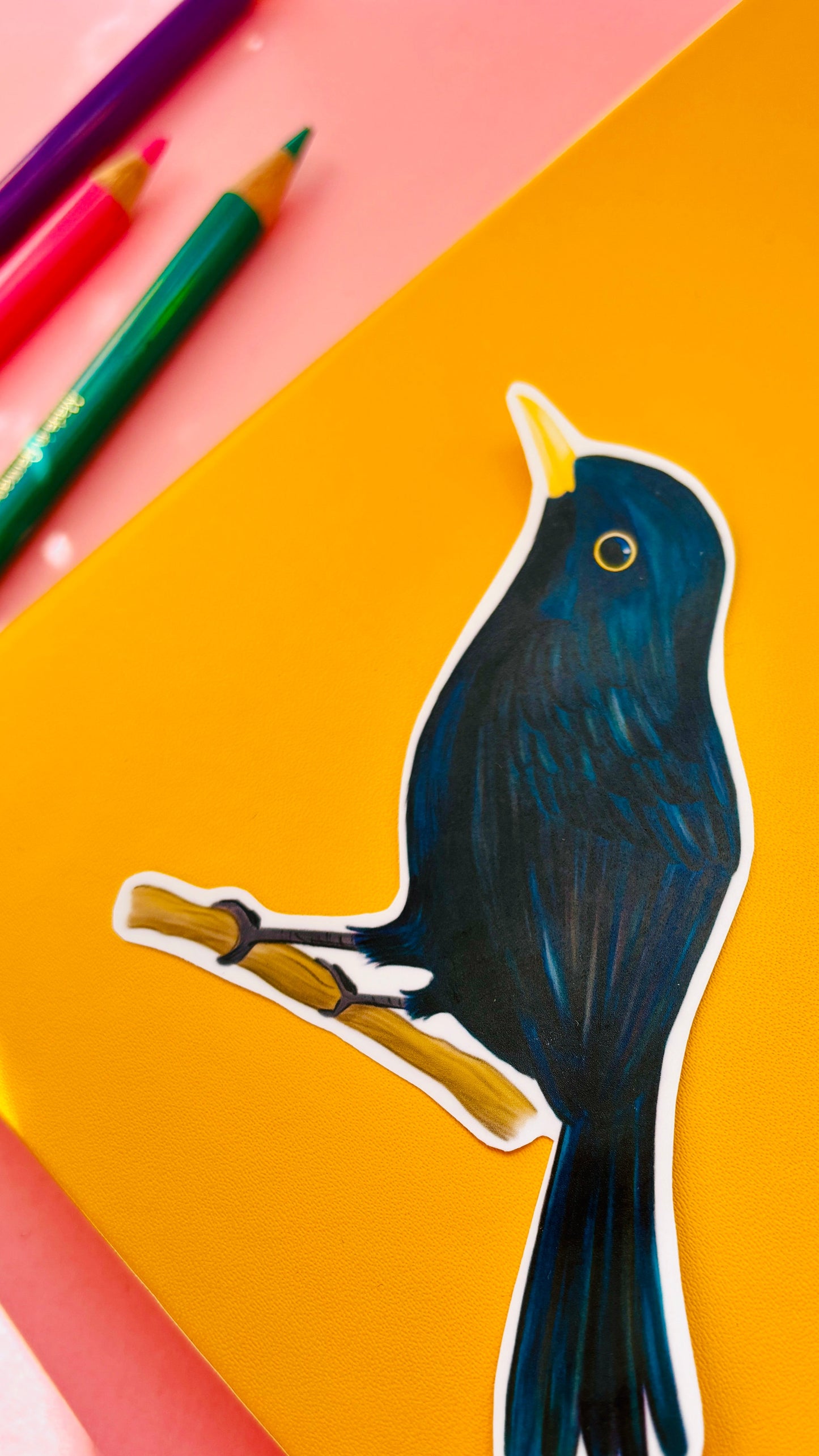 Blackbird Vinyl Sticker- British Wildlife Art Waterproof Sticker