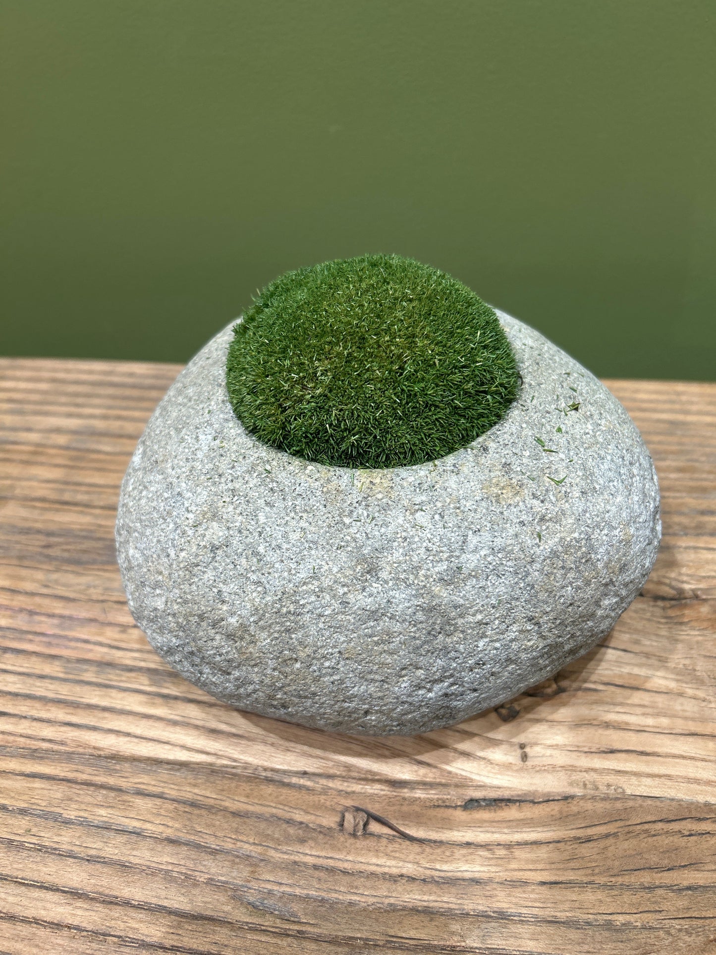 Indo Riverstone planted with Preserved Moss FR67