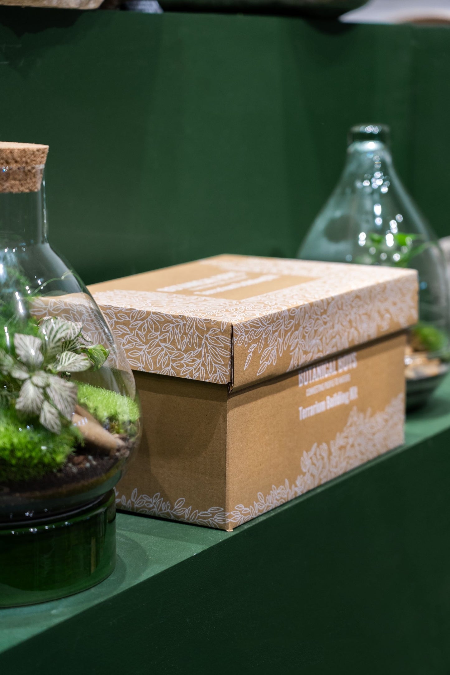 Large glass egg terrarium kit - 26cm