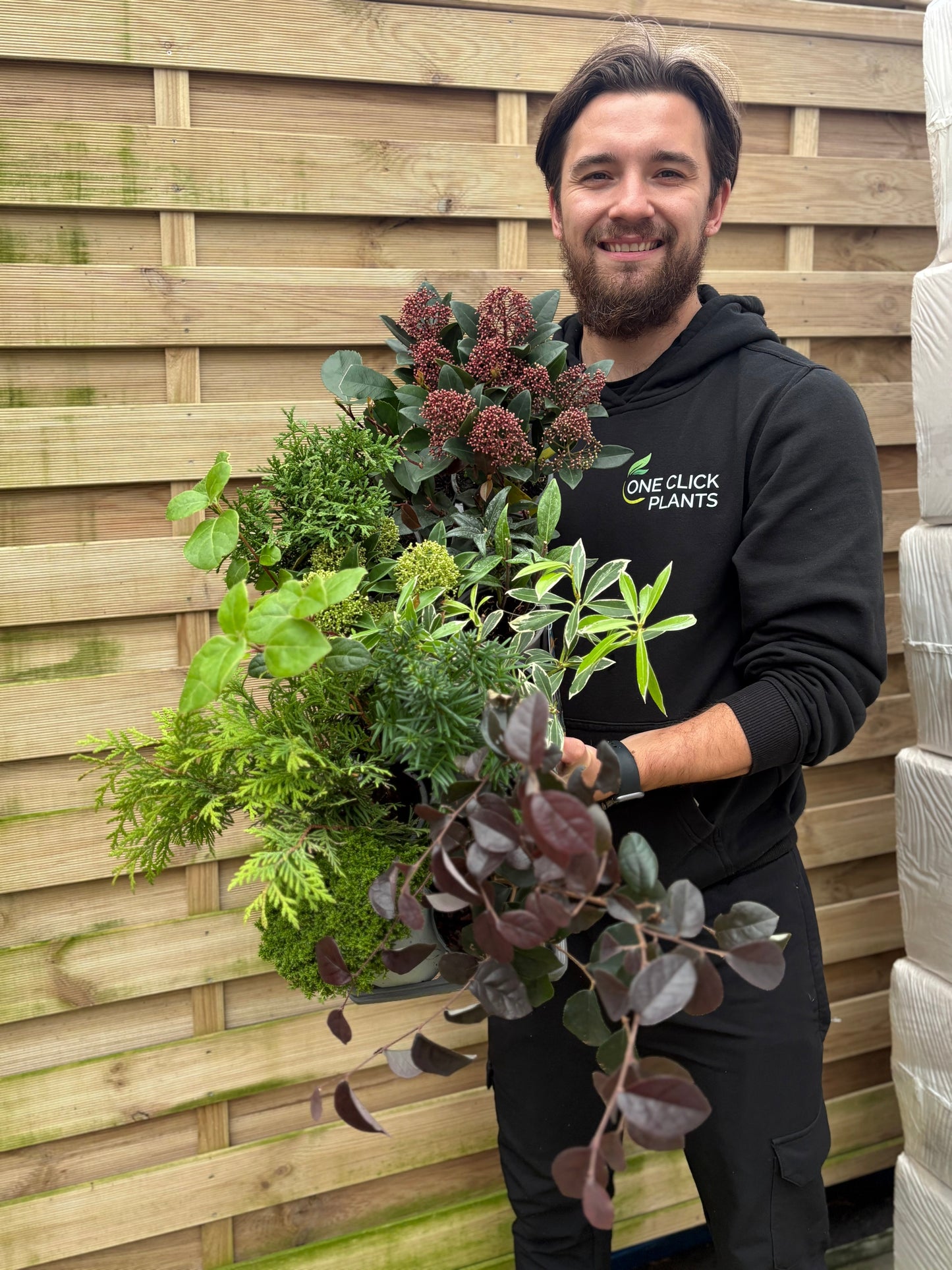 Special offer Shrub Mix