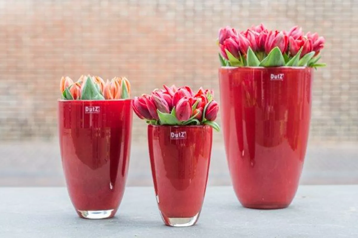 FLOWERVASE - RED by DutZ