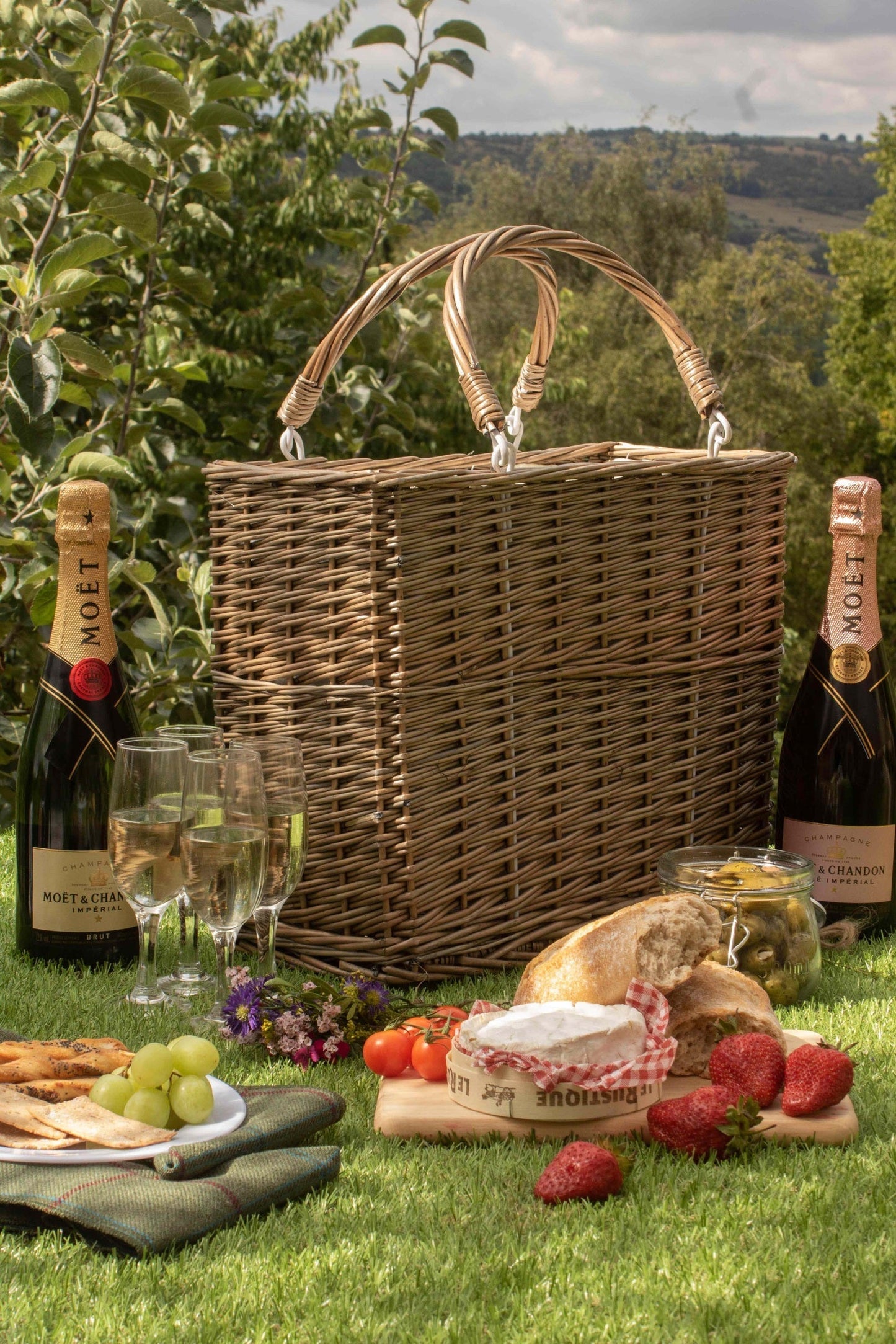 Cooler Basket