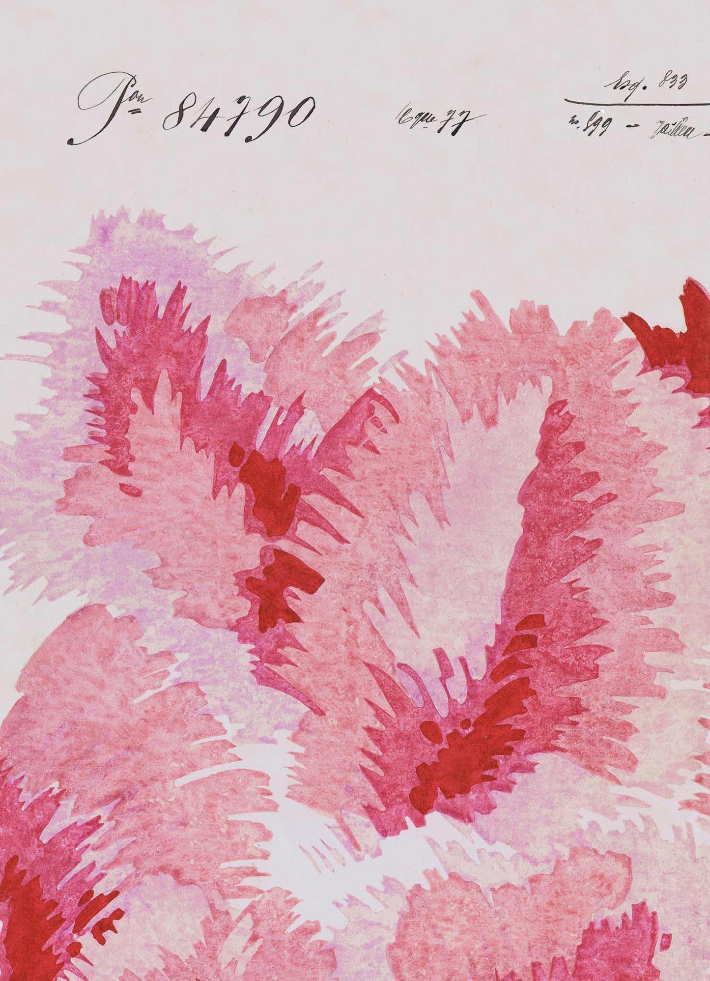 No.032 - Venus Plumes - Vintage Archive Poster Prints