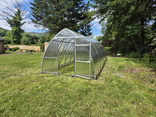 GREENHOUSE SUNGROW, 36M² (3M X 12M; 9.8FT X 39.4FT)