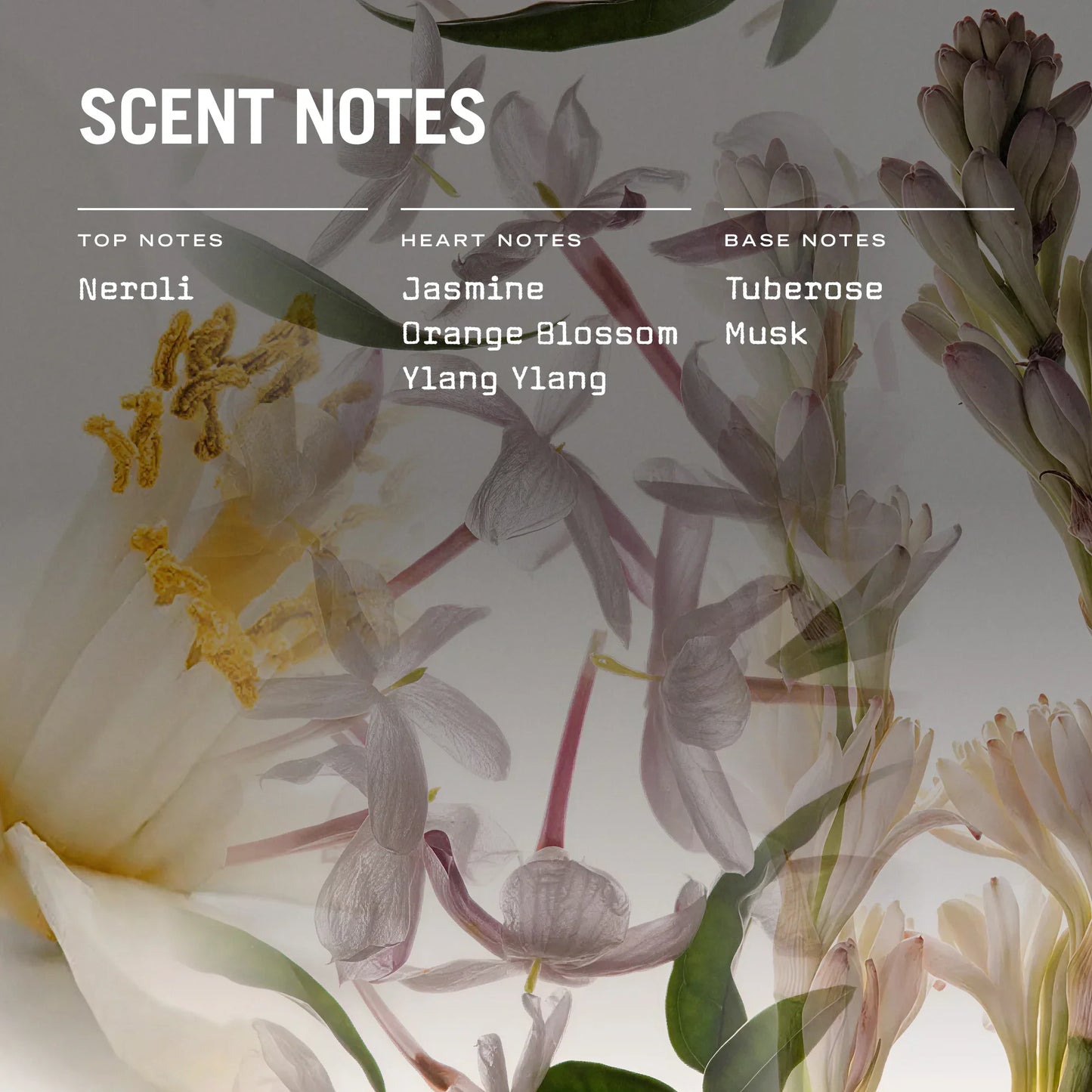 Florale Scented Candle Refill