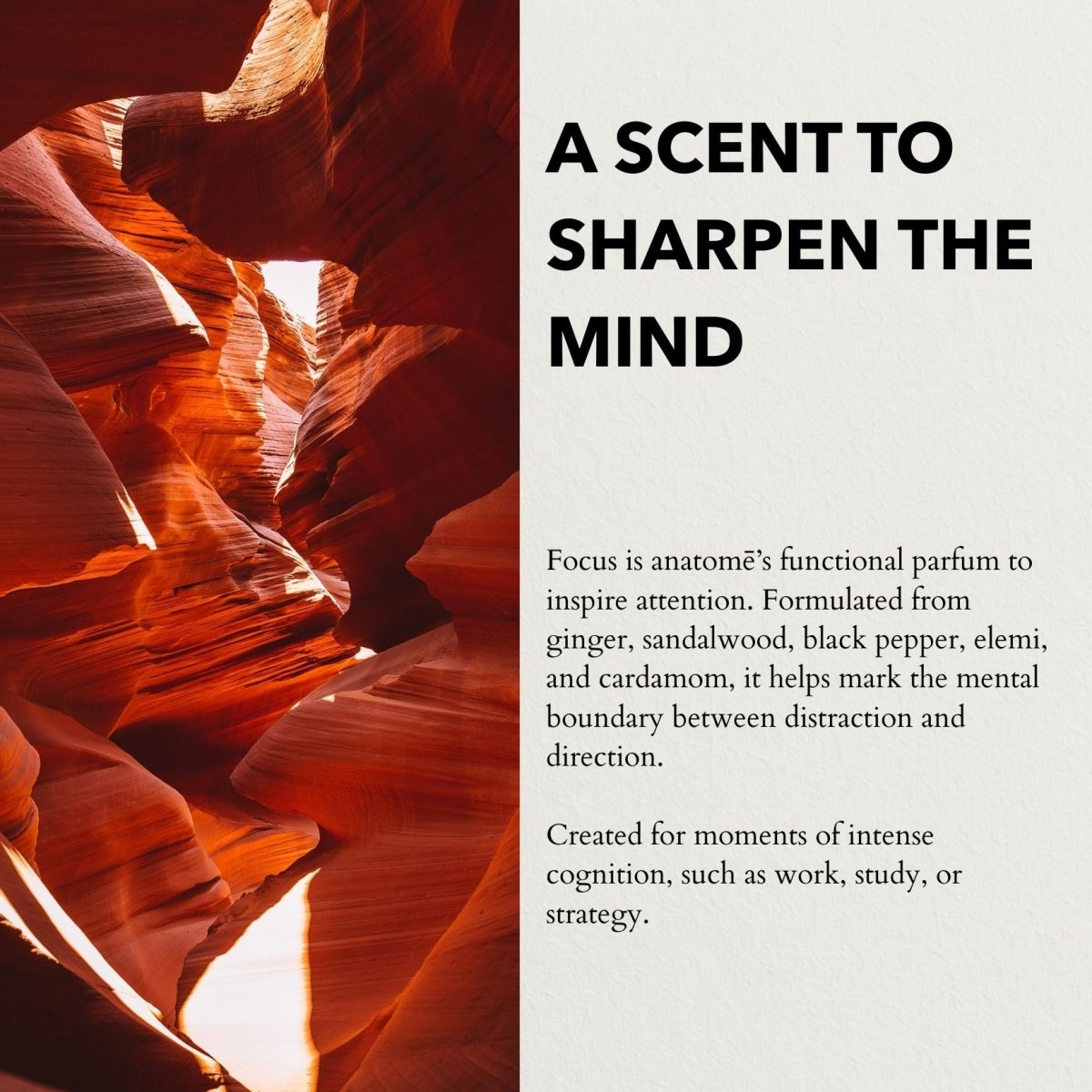 Focus Functional Parfum Travel 10ml