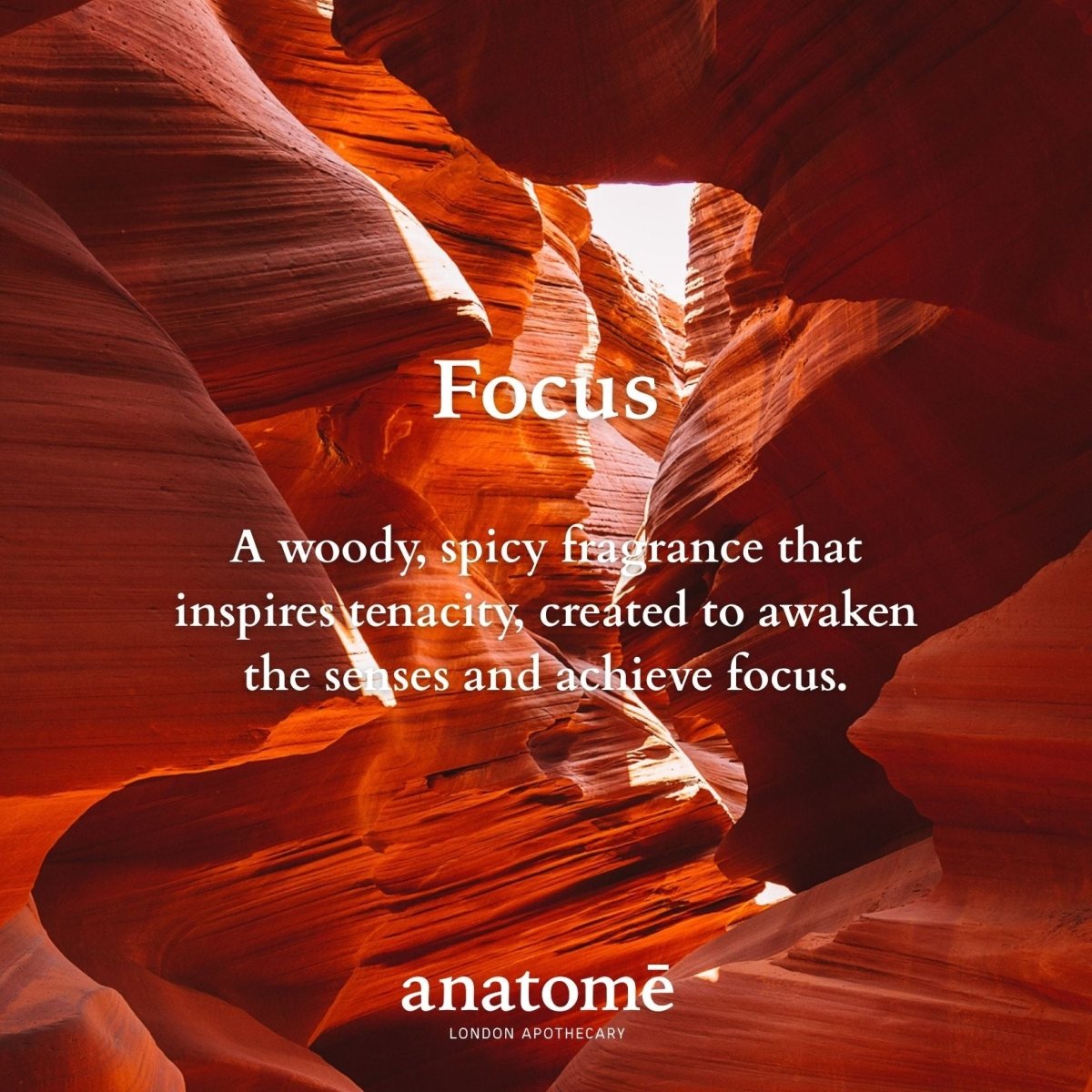 Focus Functional Parfum