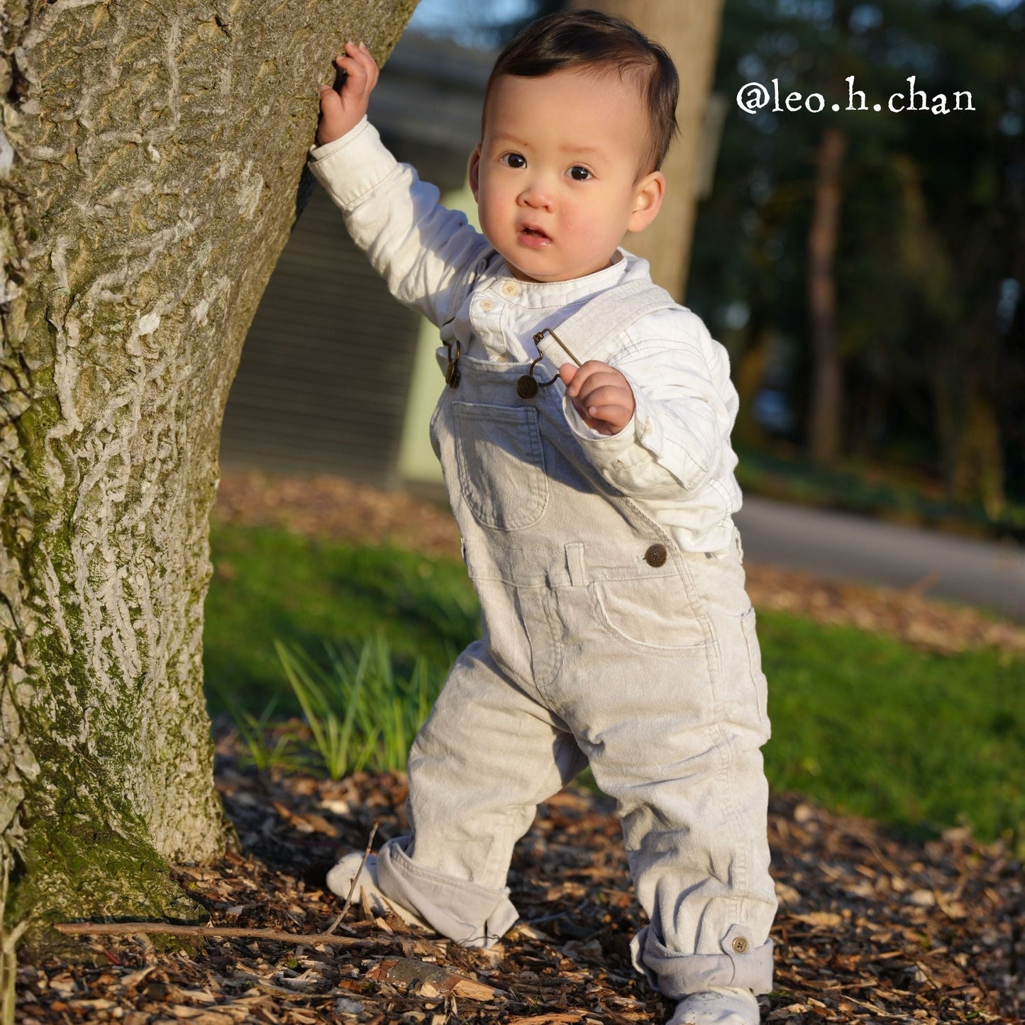 Fog Corduroy Dungarees