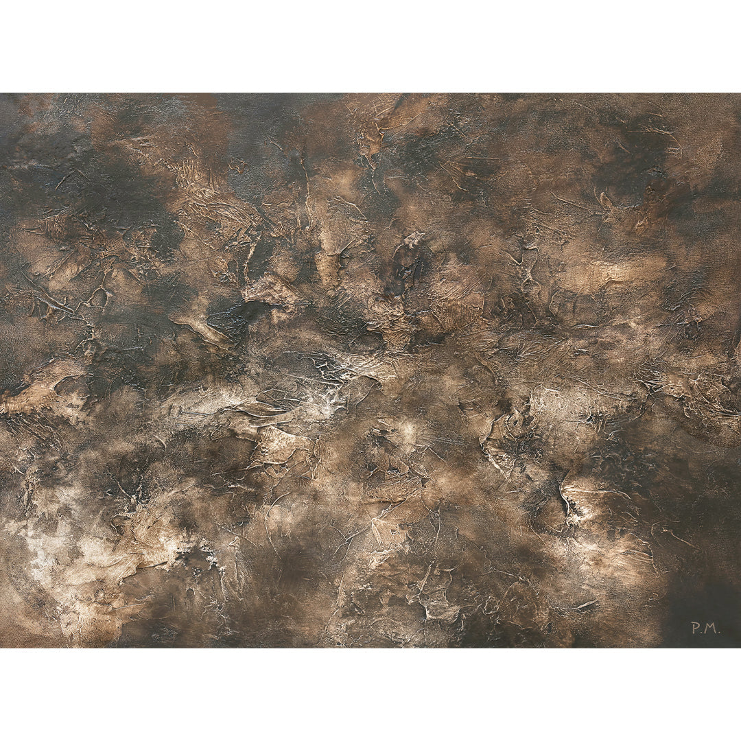 Fossil Landscape Framed Printed Canvas